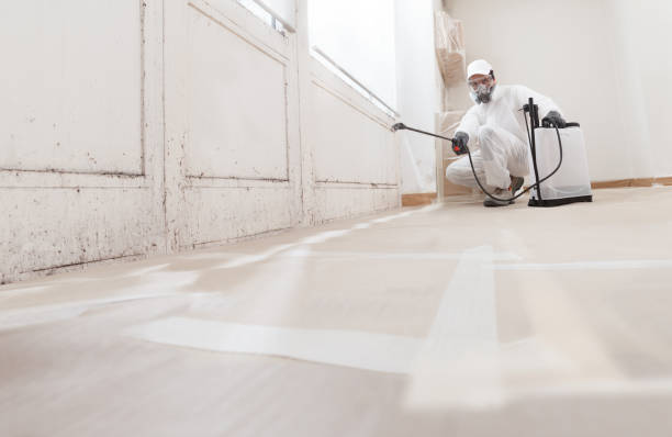 24/7 Emergency Basement Mold Remediation experts in Crownsville, MD